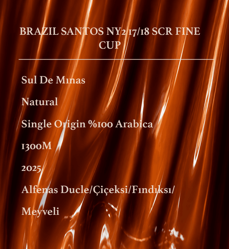 BRAZIL SANTOS NY2 17/18 SCR FINE CUP