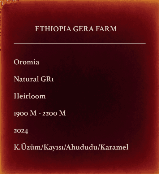 ETHIOPIA GERA FARM