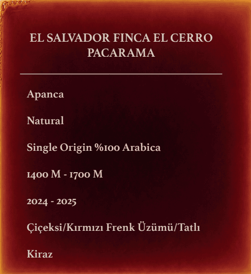EL SALVADOR FINCA EL CERRO PACARAMA